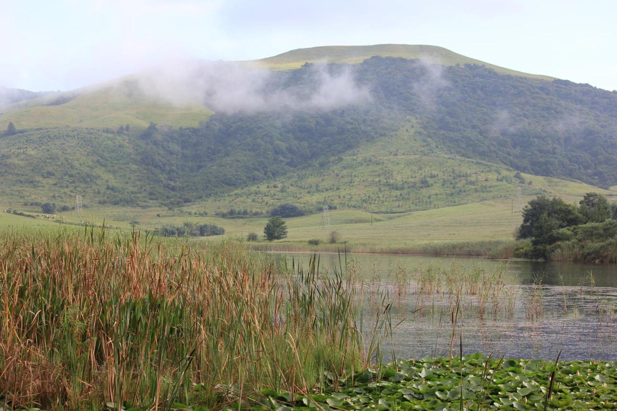 Готель Beacon Vlei Guest Farm Balgowan Екстер'єр фото