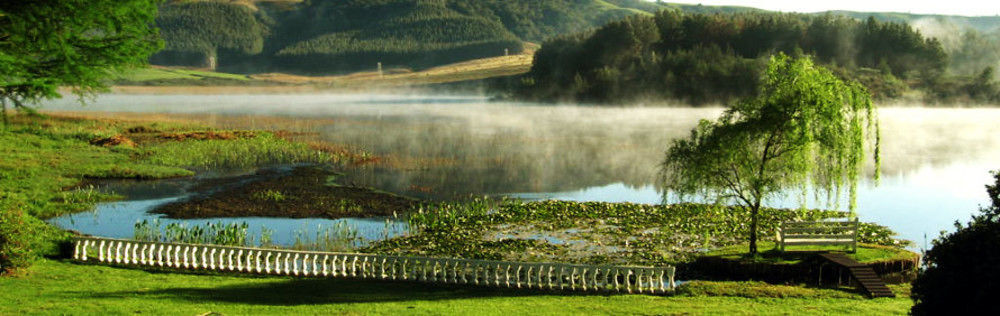 Готель Beacon Vlei Guest Farm Balgowan Екстер'єр фото